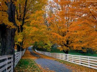 Fall Road Scene