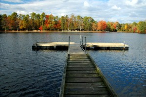 Summer Dock on Water Image